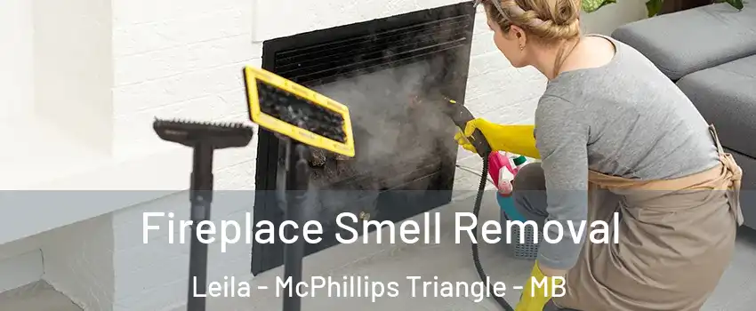  Fireplace Smell Removal Leila - McPhillips Triangle - MB