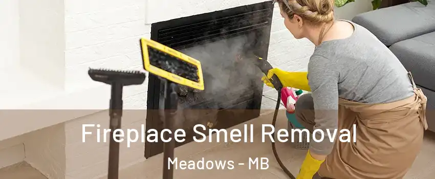  Fireplace Smell Removal Meadows - MB