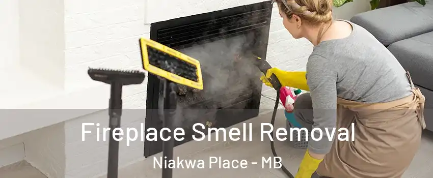  Fireplace Smell Removal Niakwa Place - MB