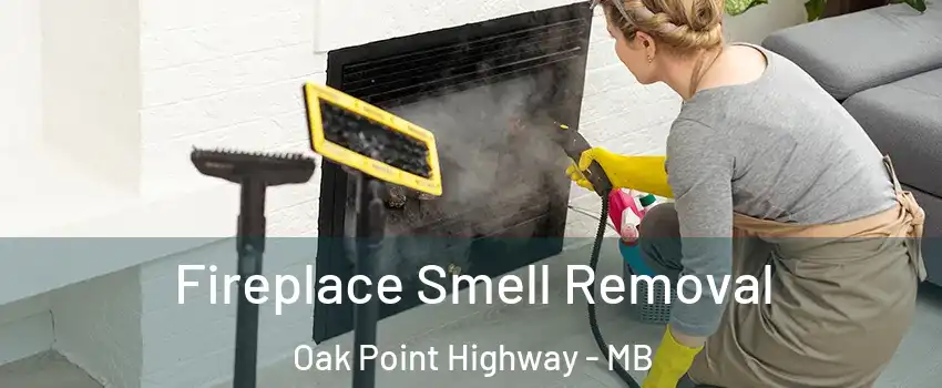  Fireplace Smell Removal Oak Point Highway - MB
