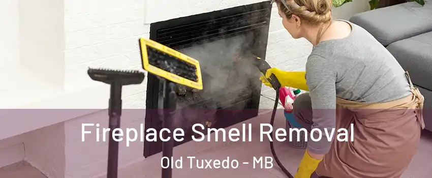  Fireplace Smell Removal Old Tuxedo - MB