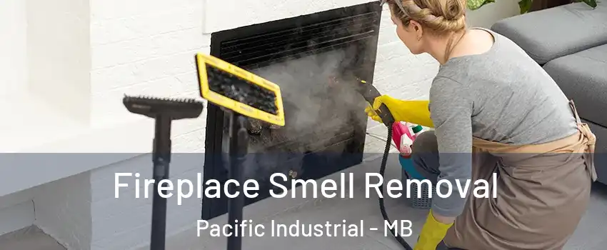  Fireplace Smell Removal Pacific Industrial - MB