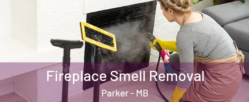  Fireplace Smell Removal Parker - MB