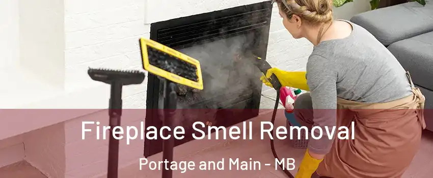  Fireplace Smell Removal Portage and Main - MB