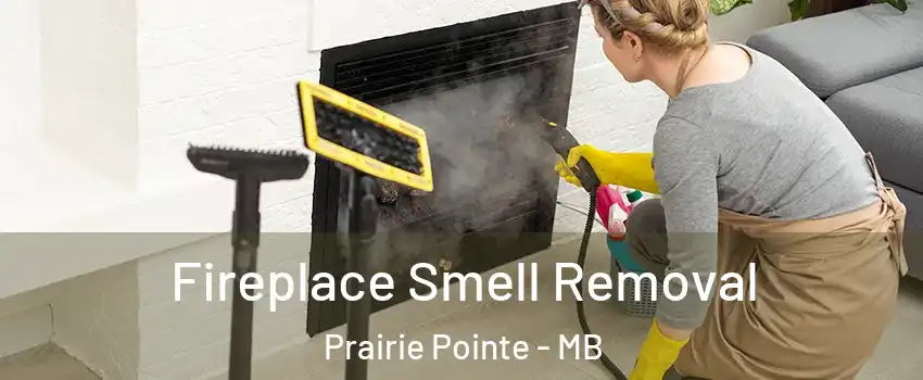  Fireplace Smell Removal Prairie Pointe - MB