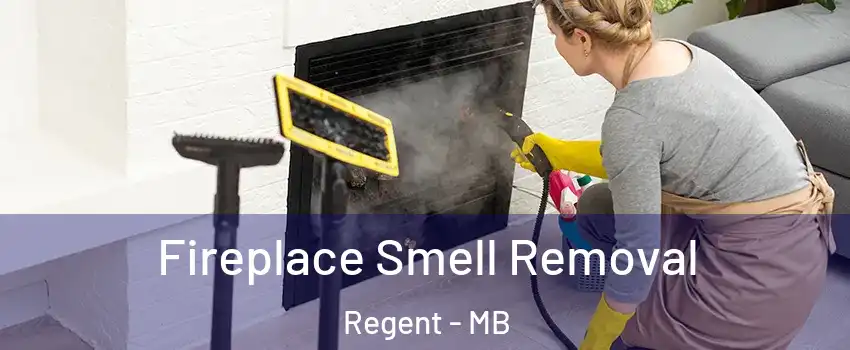  Fireplace Smell Removal Regent - MB