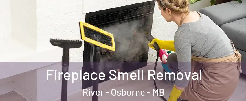  Fireplace Smell Removal River - Osborne - MB