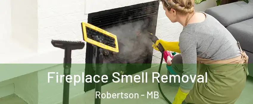  Fireplace Smell Removal Robertson - MB