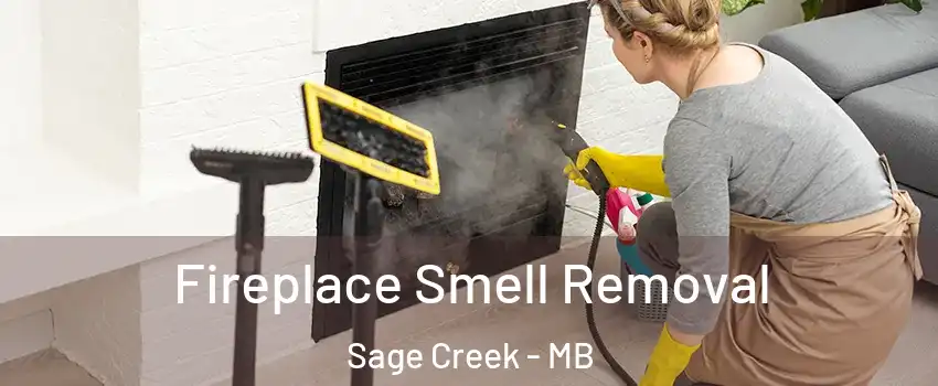 Fireplace Smell Removal Sage Creek - MB