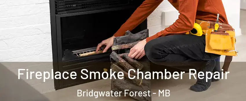  Fireplace Smoke Chamber Repair Bridgwater Forest - MB
