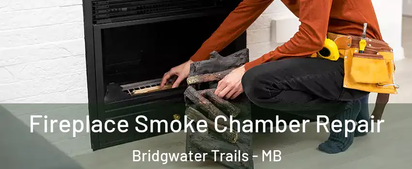 Fireplace Smoke Chamber Repair Bridgwater Trails - MB