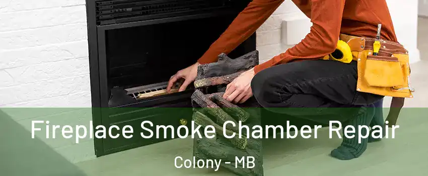  Fireplace Smoke Chamber Repair Colony - MB