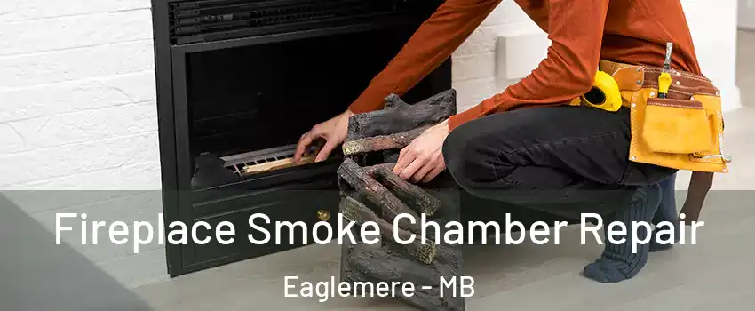  Fireplace Smoke Chamber Repair Eaglemere - MB