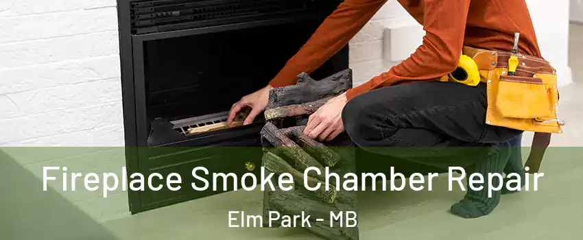  Fireplace Smoke Chamber Repair Elm Park - MB
