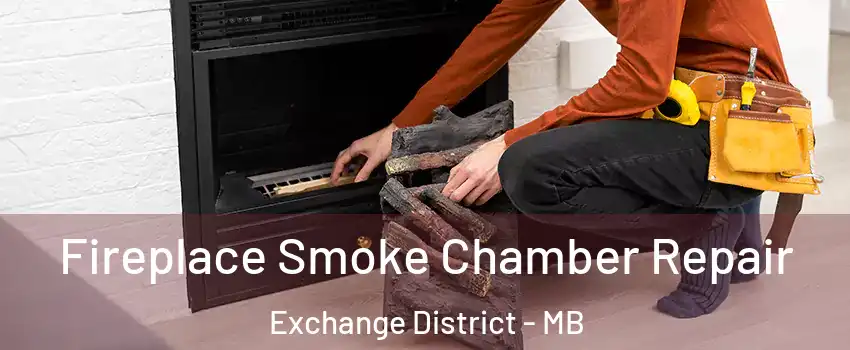  Fireplace Smoke Chamber Repair Exchange District - MB