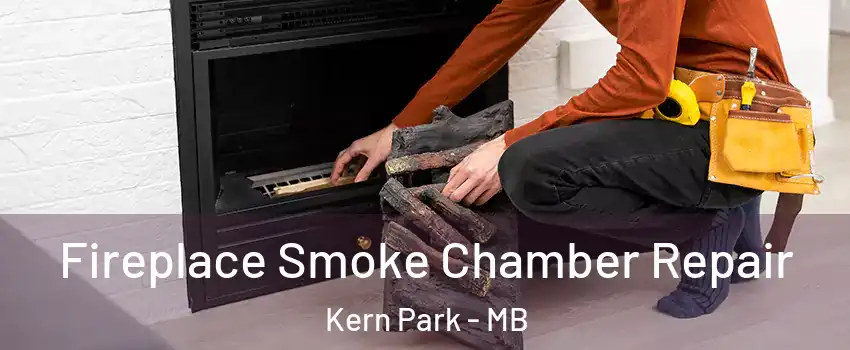  Fireplace Smoke Chamber Repair Kern Park - MB