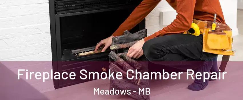  Fireplace Smoke Chamber Repair Meadows - MB