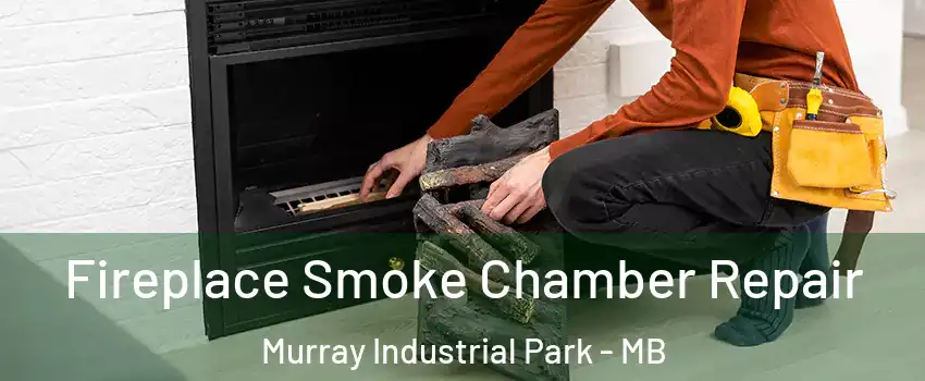  Fireplace Smoke Chamber Repair Murray Industrial Park - MB
