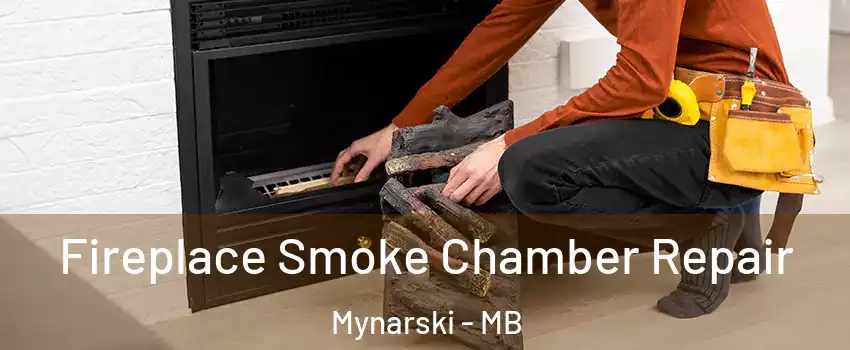  Fireplace Smoke Chamber Repair Mynarski - MB
