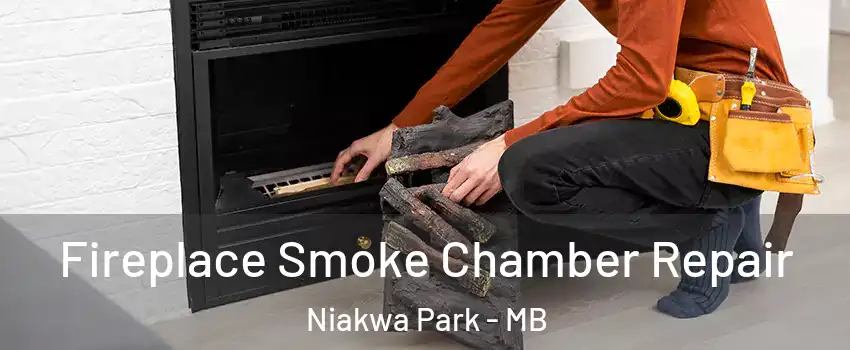  Fireplace Smoke Chamber Repair Niakwa Park - MB