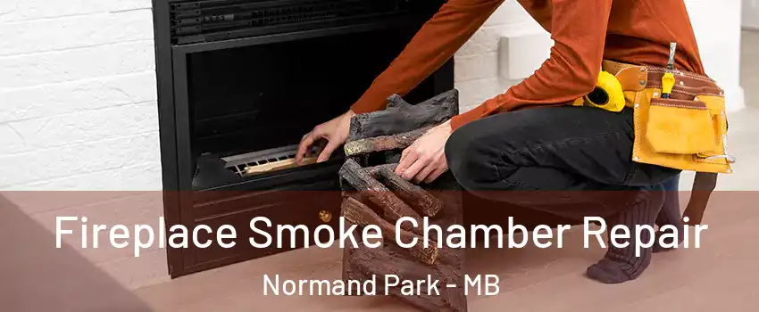  Fireplace Smoke Chamber Repair Normand Park - MB