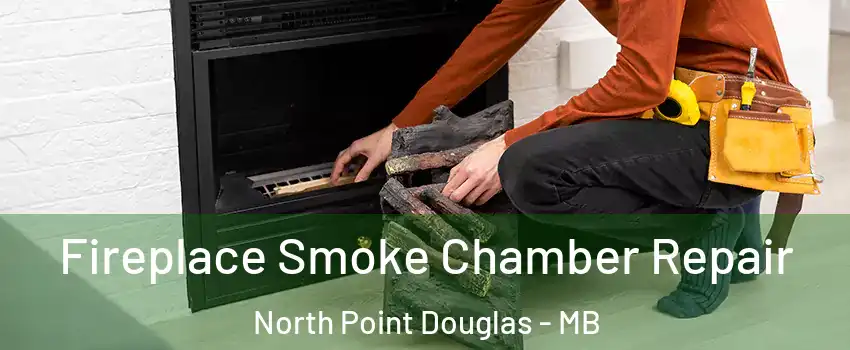  Fireplace Smoke Chamber Repair North Point Douglas - MB