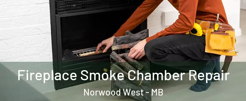  Fireplace Smoke Chamber Repair Norwood West - MB
