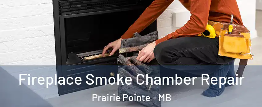  Fireplace Smoke Chamber Repair Prairie Pointe - MB