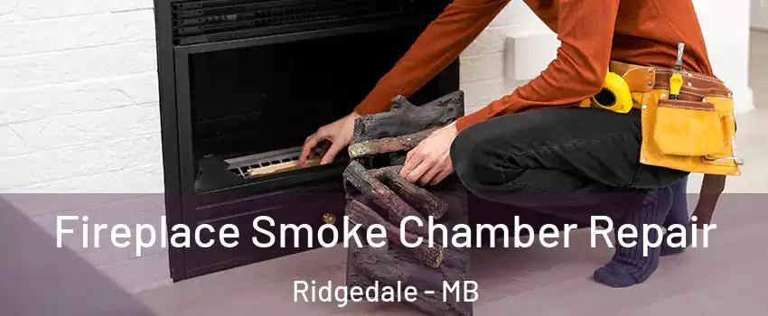  Fireplace Smoke Chamber Repair Ridgedale - MB