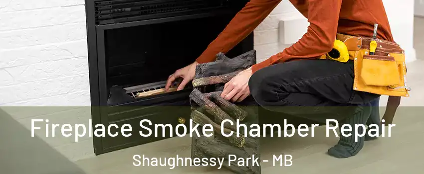 Fireplace Smoke Chamber Repair Shaughnessy Park - MB