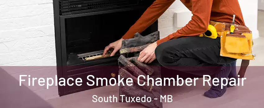  Fireplace Smoke Chamber Repair South Tuxedo - MB