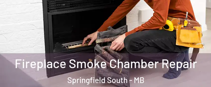  Fireplace Smoke Chamber Repair Springfield South - MB