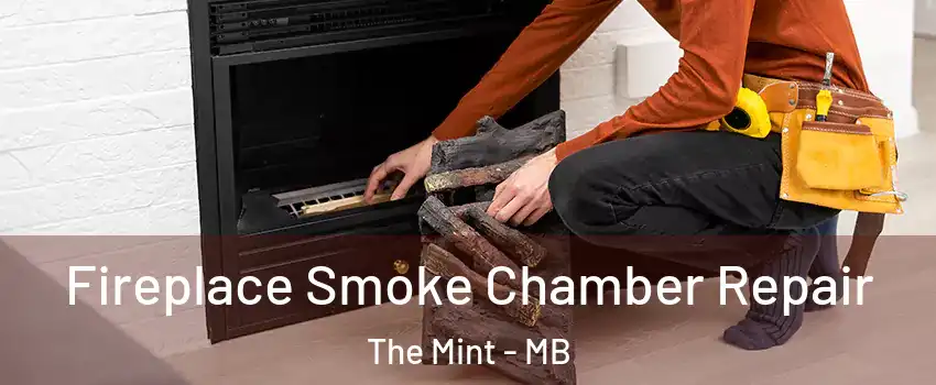  Fireplace Smoke Chamber Repair The Mint - MB