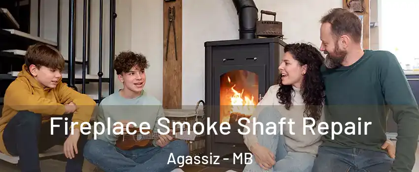  Fireplace Smoke Shaft Repair Agassiz - MB