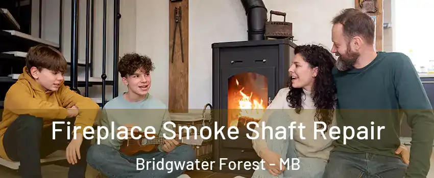  Fireplace Smoke Shaft Repair Bridgwater Forest - MB