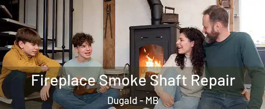 Fireplace Smoke Shaft Repair Dugald - MB