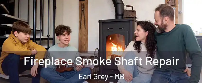  Fireplace Smoke Shaft Repair Earl Grey - MB