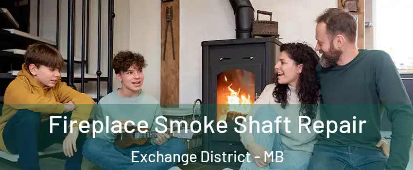  Fireplace Smoke Shaft Repair Exchange District - MB
