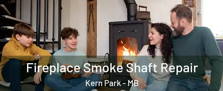  Fireplace Smoke Shaft Repair Kern Park - MB