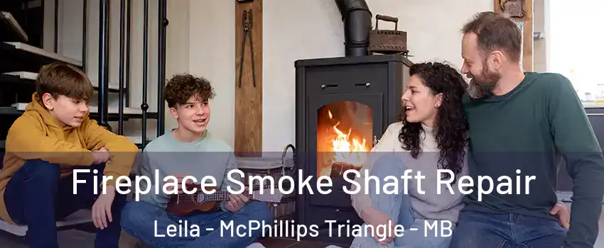  Fireplace Smoke Shaft Repair Leila - McPhillips Triangle - MB