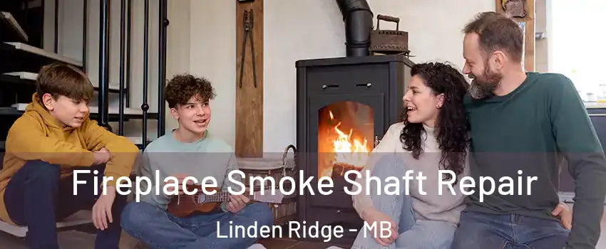  Fireplace Smoke Shaft Repair Linden Ridge - MB