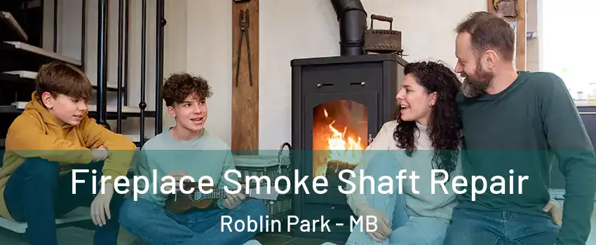  Fireplace Smoke Shaft Repair Roblin Park - MB