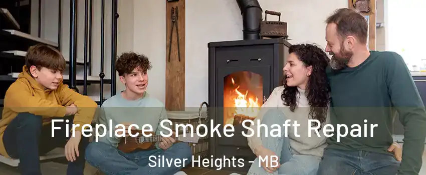  Fireplace Smoke Shaft Repair Silver Heights - MB