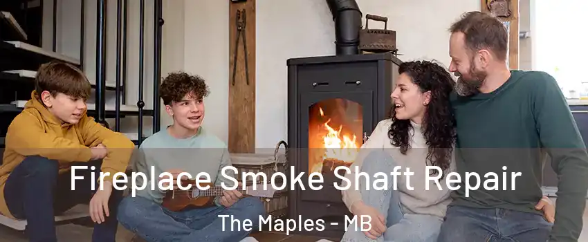  Fireplace Smoke Shaft Repair The Maples - MB