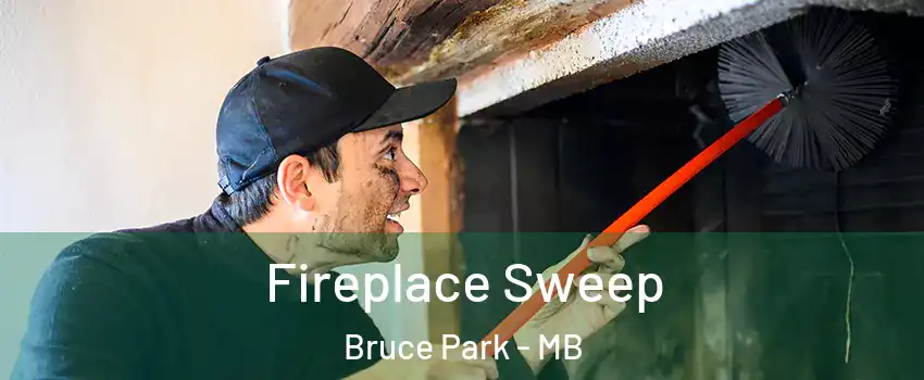  Fireplace Sweep Bruce Park - MB