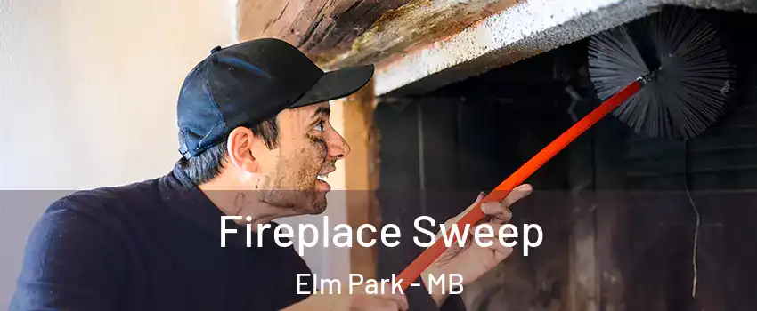  Fireplace Sweep Elm Park - MB