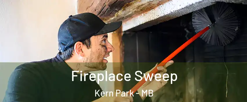  Fireplace Sweep Kern Park - MB