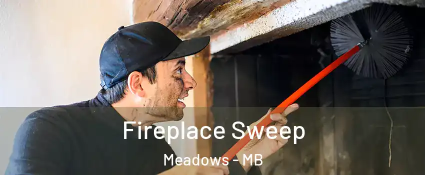 Fireplace Sweep Meadows - MB
