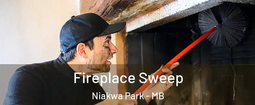  Fireplace Sweep Niakwa Park - MB