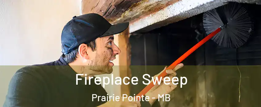  Fireplace Sweep Prairie Pointe - MB
